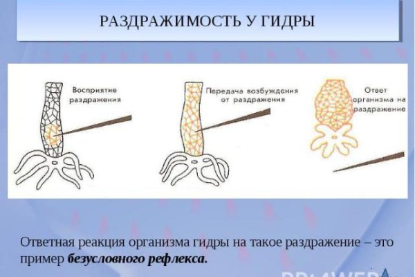 Ссылки онион