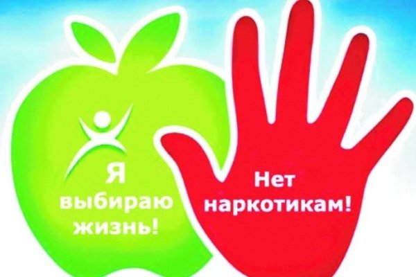 Kraken onion зеркала 2024