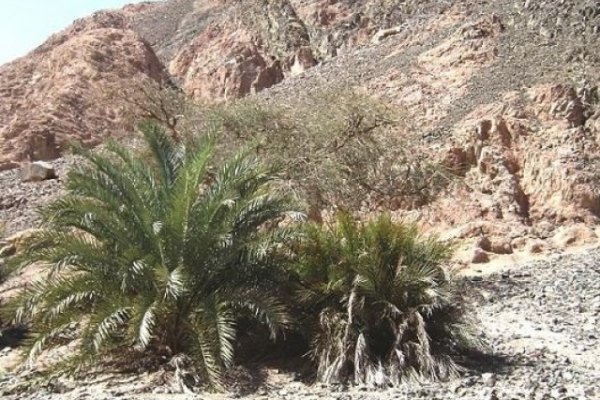 Магазин кракен даркнететамбов