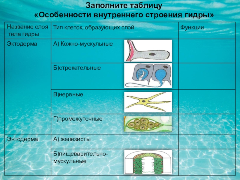 Как зайти на маркетплейс кракен